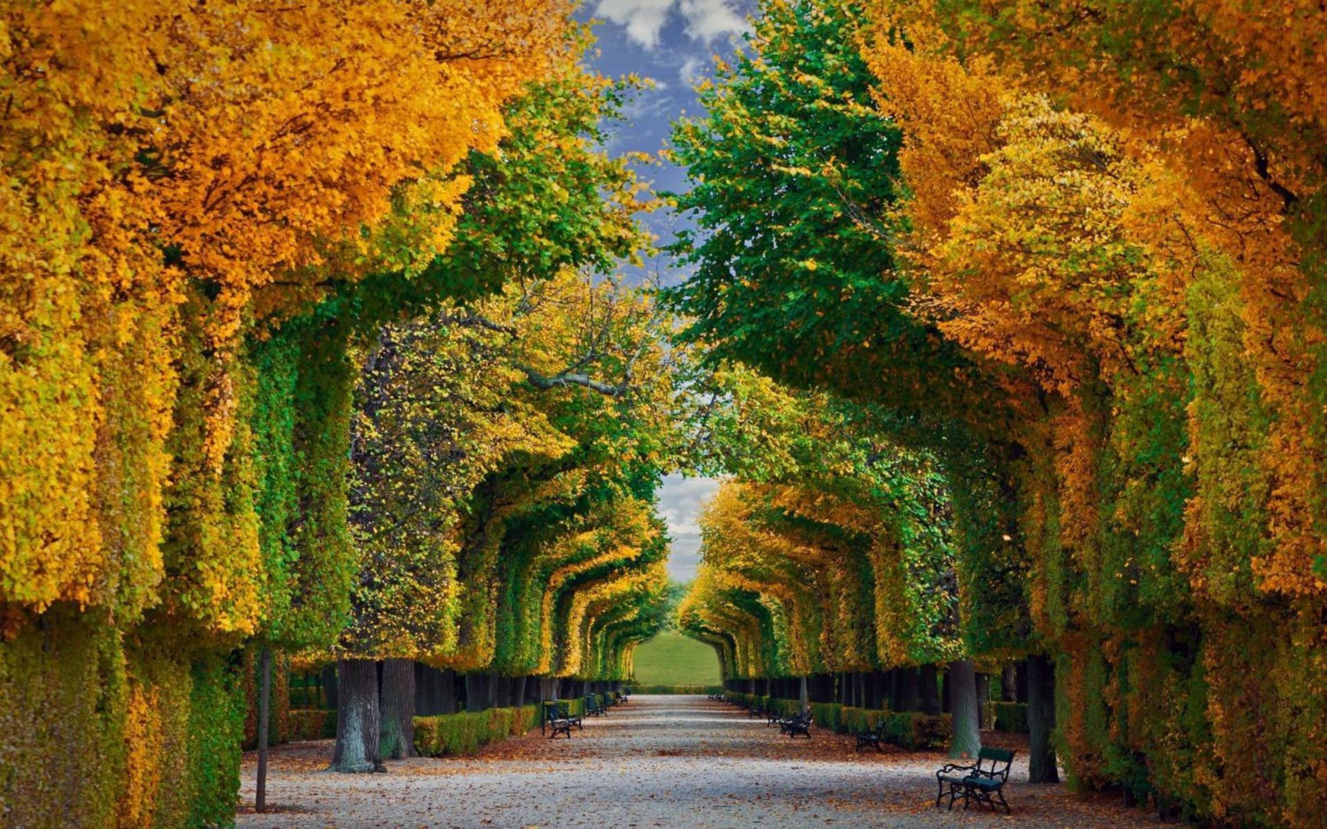 Regal Retreat Intimate Elegance Near Schoenbrunn Palace Vienna Luaran gambar